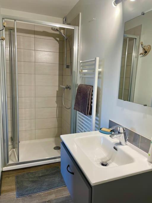 Appartement Independant 30 M² A 500M Du Lac, 2 Velos Et Parking Fournis Sévrier エクステリア 写真