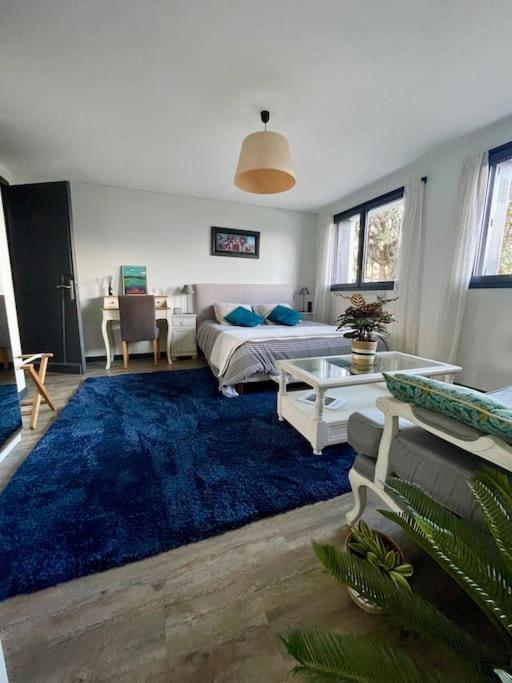 Appartement Independant 30 M² A 500M Du Lac, 2 Velos Et Parking Fournis Sévrier エクステリア 写真
